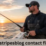 thestripesblog contact fishe